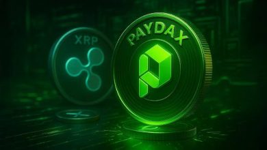 market-expert:-the-xrp-price-will-rise-50%-soon,-but-only-this-new-altcoin-will-make-you-rich