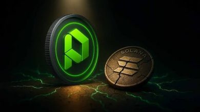 paydax’s-pdp-becomes-the-top-altcoin-to-buy-as-the-solana-price-bleeds,-here’s-why