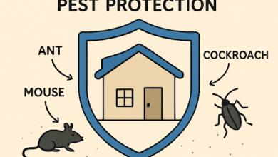 pest-prevention-techniques-for-every-home